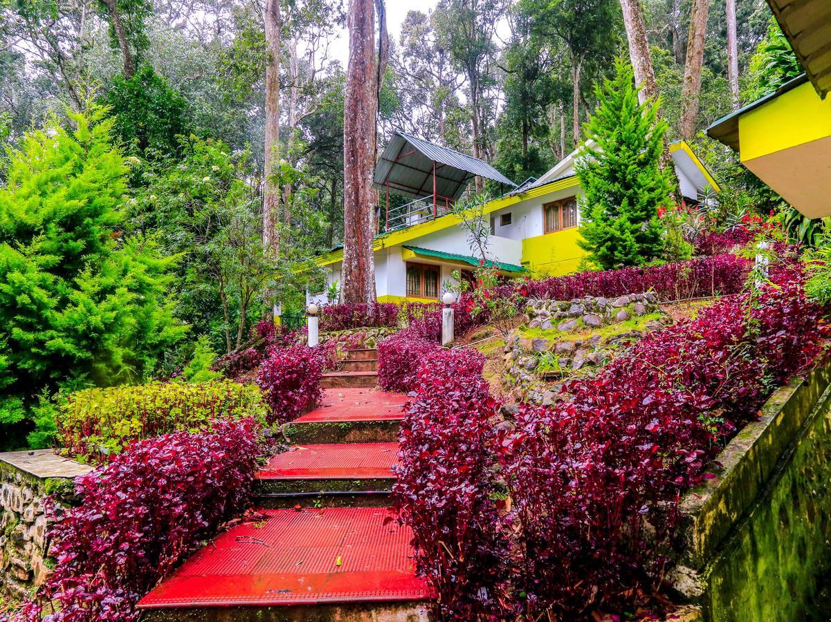 Oyo 4651 Woodpecker Resort Munnar Bagian luar foto